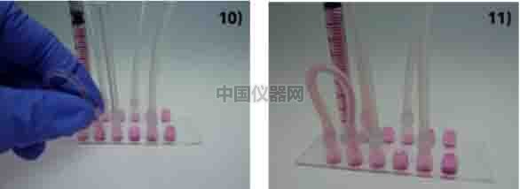 探讨流体剪切力对细胞活动的影响--流体剪切力对细胞吸收人造细胞器的影响
